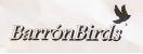 BARRONBIRDS