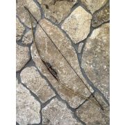 SPARROW INFANTIL 48" SPARROW INFANTIL 48"