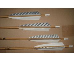 Emplumado de Flechas Emplumado de Flechas