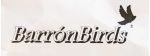BARRONBIRDS