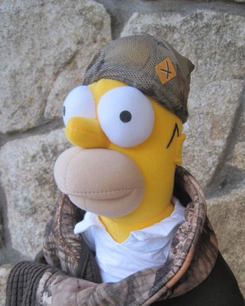 Y SI HOMER SIMPSON, HICIERA UN AGUARDO CON ARCO Y SI HOMER SIMPSON, HICIERA UN AGUARDO CON ARCO