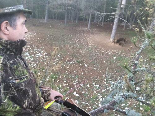CAIDAS DESDE UN PUESTO ELEVADO: CIFRAS. CAIDAS DESDE UN PUESTO ELEVADO: CIFRAS.