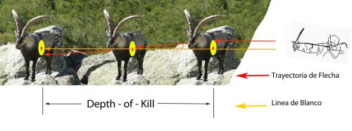 DEPTH OF KILL , DISTANCIA LETAL. DEPTH OF KILL , DISTANCIA LETAL.