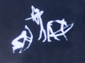 Caza con arco y arquer�a tradicional Arcodos