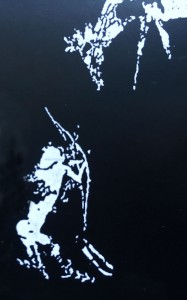 Caza con arco y arquer�a tradicional Arcodos