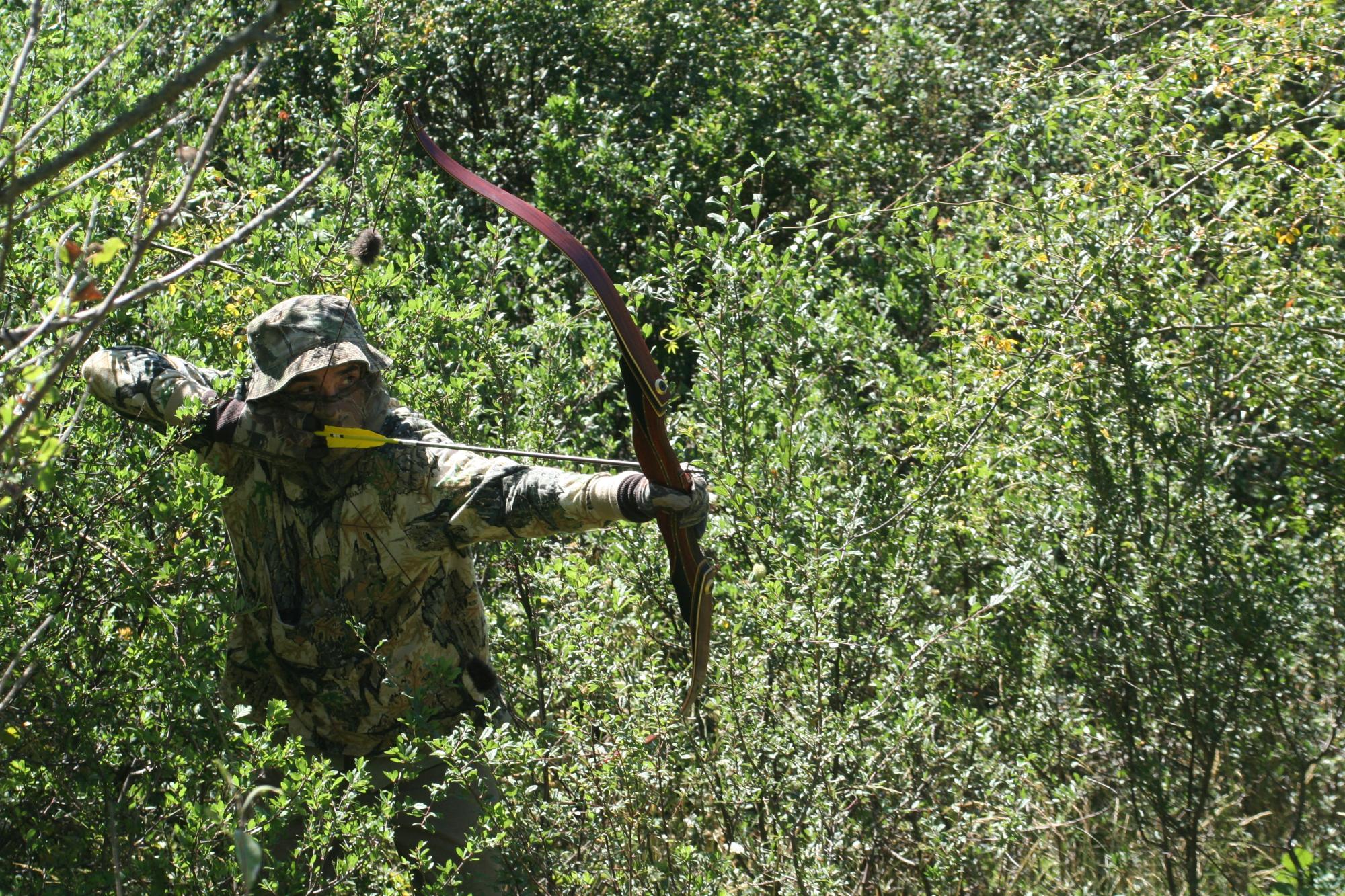 Caza con arco y arquería tradicional Arcodos