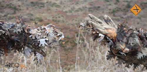 Caza con arco y arquería tradicional Arcodos