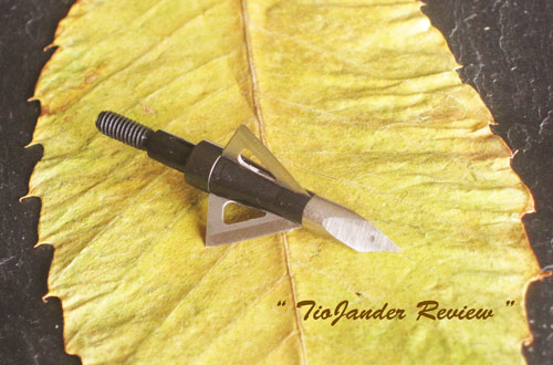 Caza con arco y arquería tradicional Arcodos