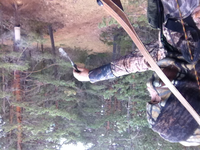 Caza con arco y arquería tradicional Arcodos