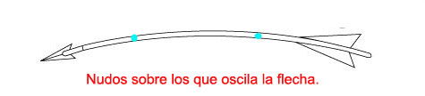 Caza con arco y arquería tradicional Arcodos