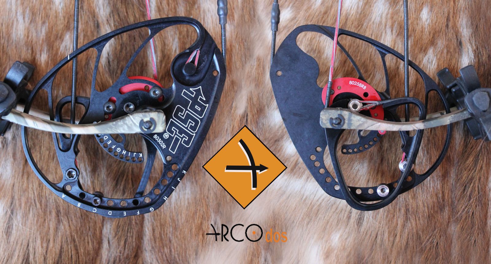 Caza con arco y arquer�a tradicional Arcodos