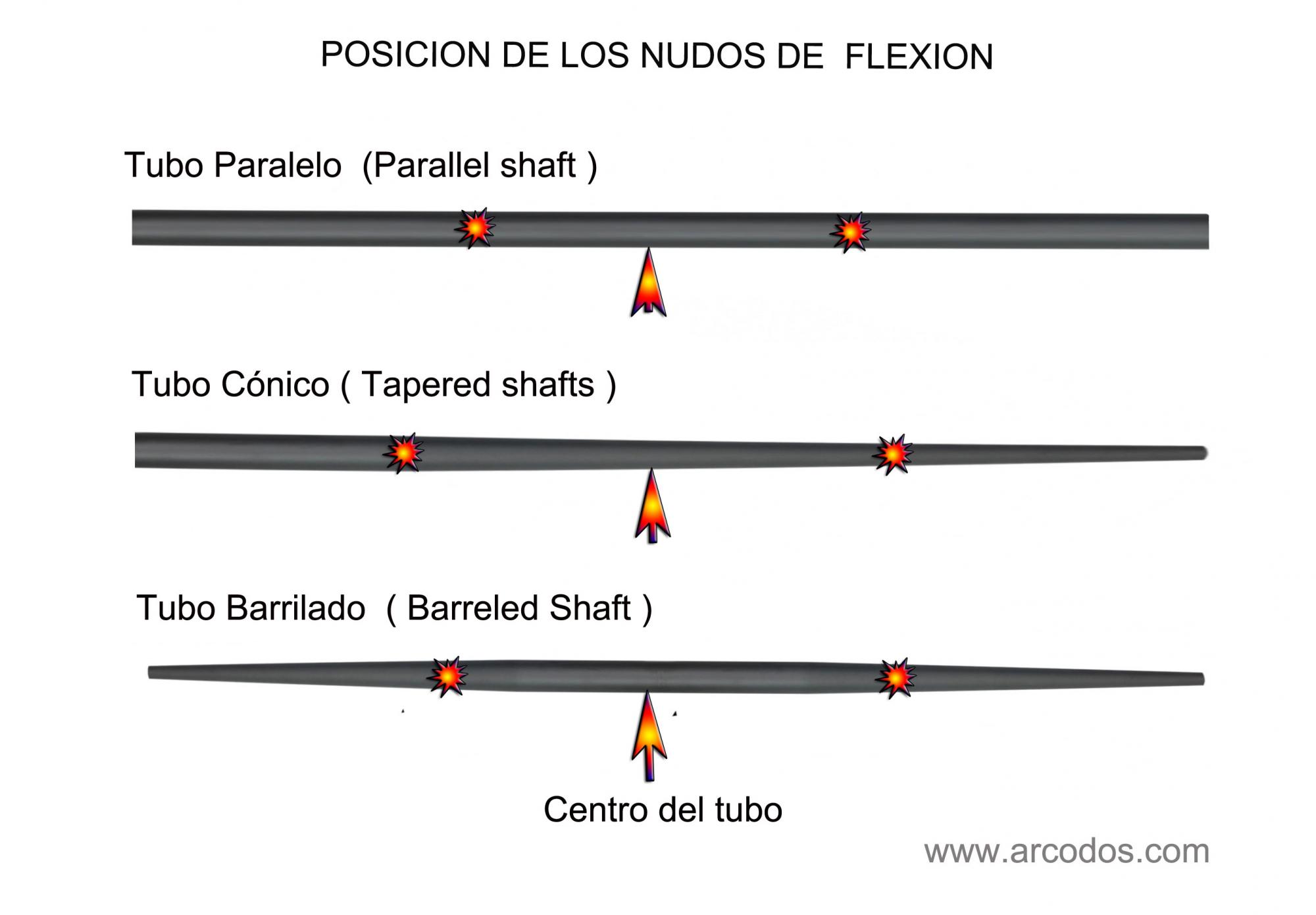 Caza con arco y arquería tradicional Arcodos