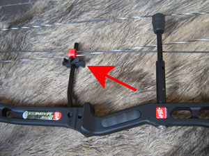 Caza con arco y arquera tradicional Arcodos